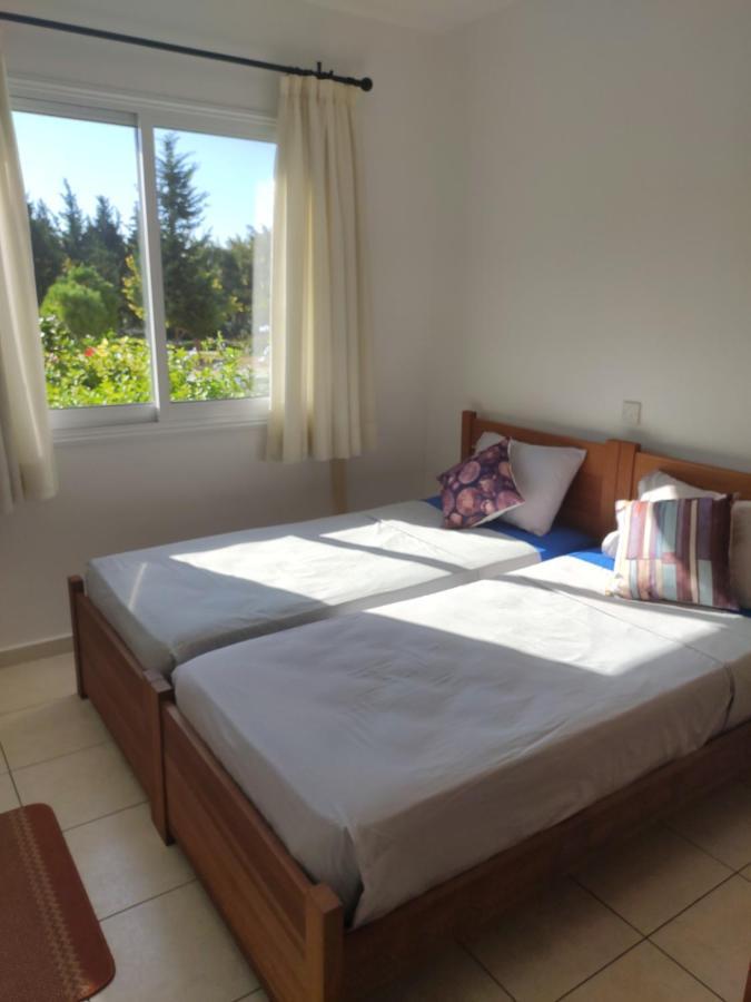 Willa Town Center Holiday Pafos